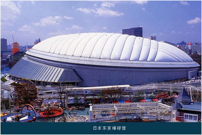 生姜种植助力乡村振兴亩产15万斤！东庄镇老庄子村种出致富好“